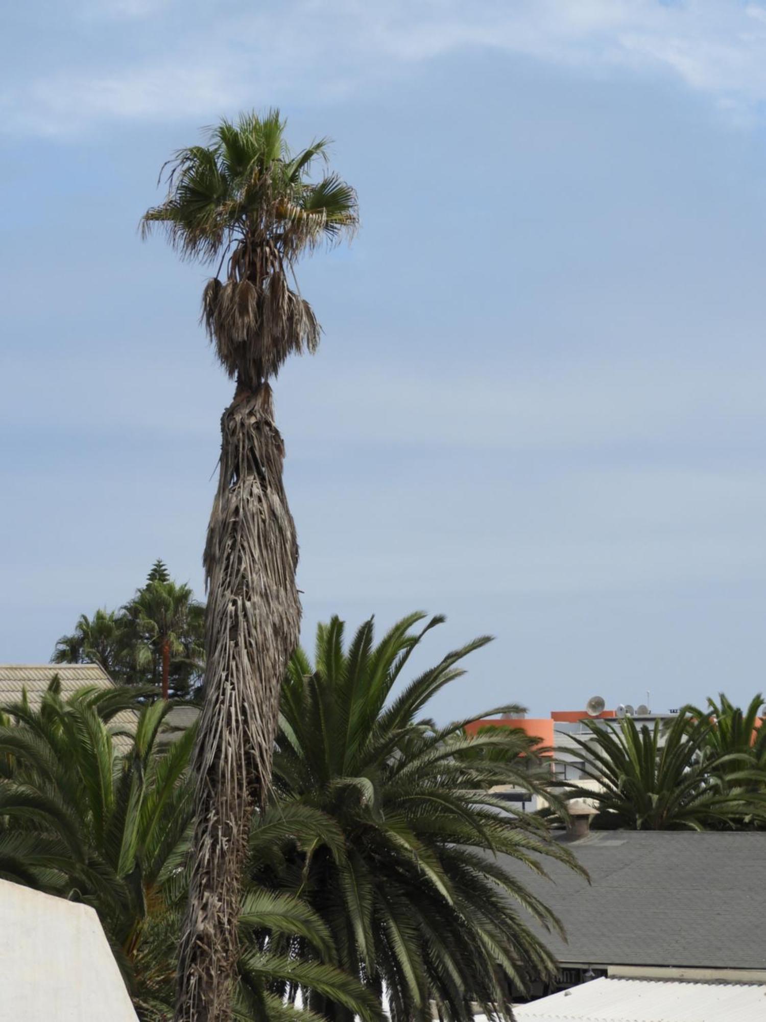 Central Self Catering Swakopmund Exteriör bild